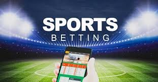 Casinos With Loyalty Rewards and Free Spins 48