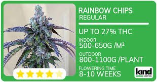 Comprehensive Guide to Buying Marijuana Seeds Connecticut Comprehensive Guide to Buying Marijuana Seeds Connecticut