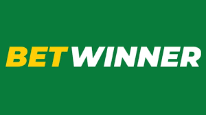 Explore the Thrills of Online Betting with BetWinner